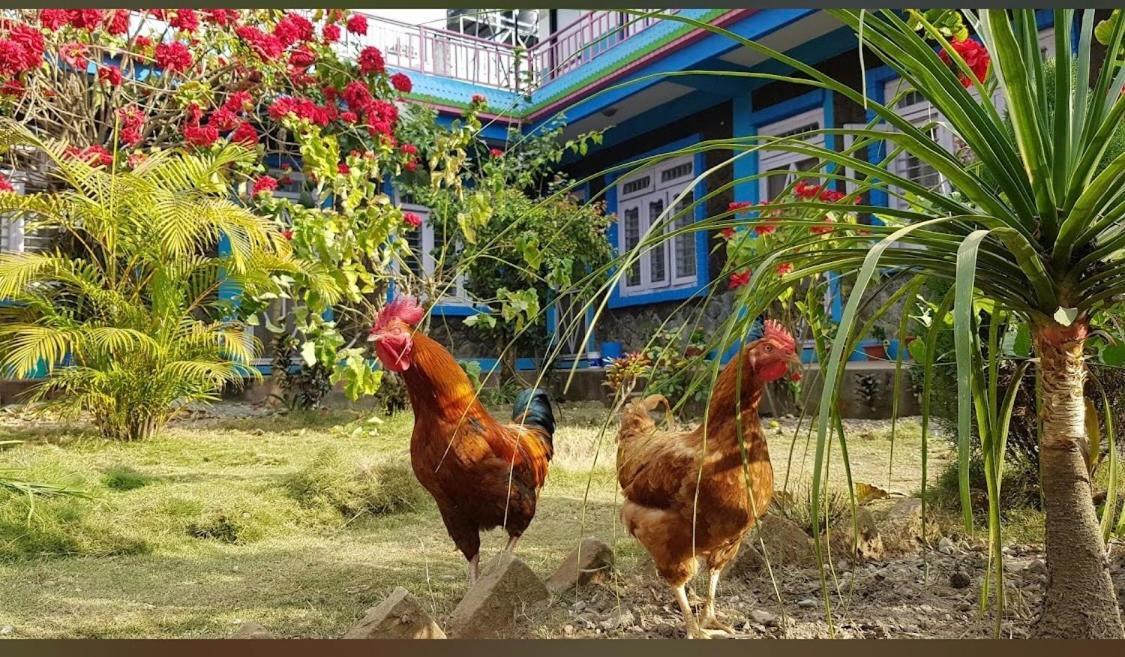 Robins Nest Hotel & Restaurant Deorāli Εξωτερικό φωτογραφία